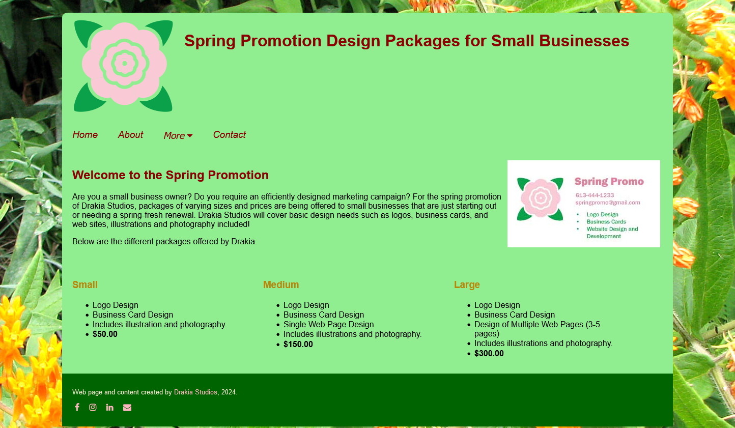 The spring promotion page for small businesses